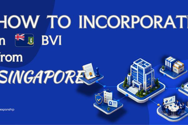 BVI Company from Singapore: What Founders Should Know
