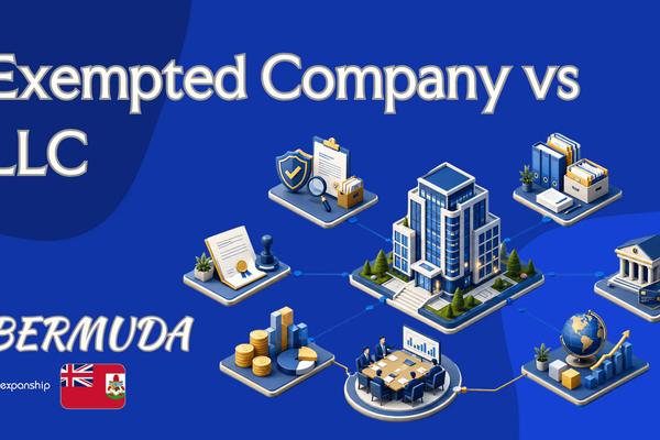 Exempted Company vs LLC: Which Bermuda Vehicle Fits