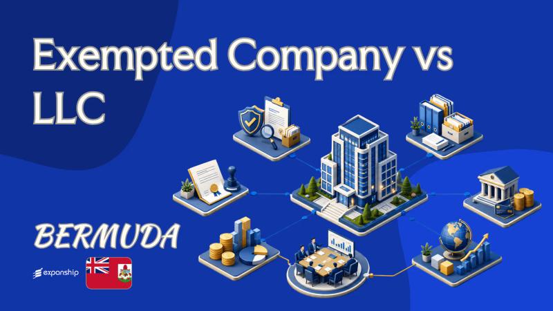 Exempted Company vs LLC: Which Bermuda Vehicle Fits
