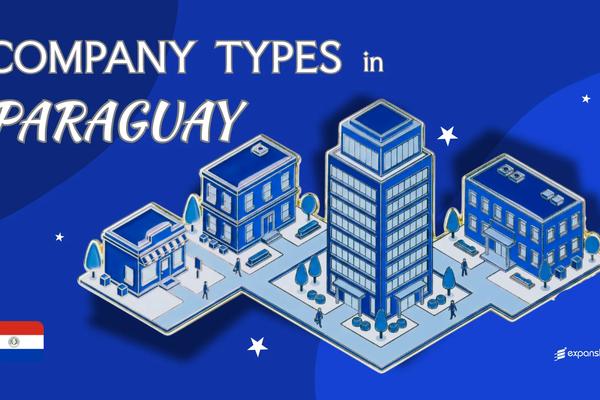 Company Types in Paraguay | All Entity Structures Explained