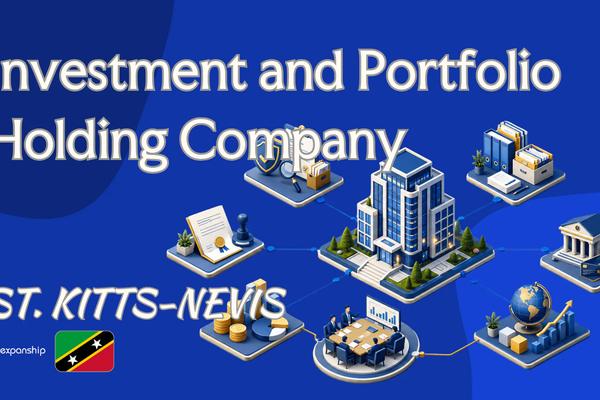 Investment and Portfolio Holding Company in Nevis: Overview