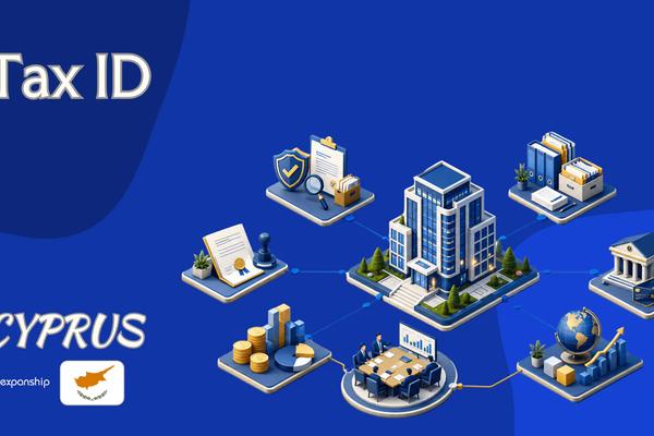Cyprus Tax ID for Foreign Company Owners Explained