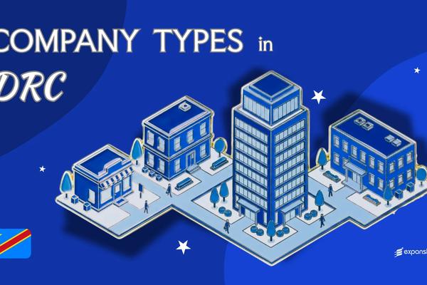 Company Types in DR Congo | 9 Legal Entities Compared