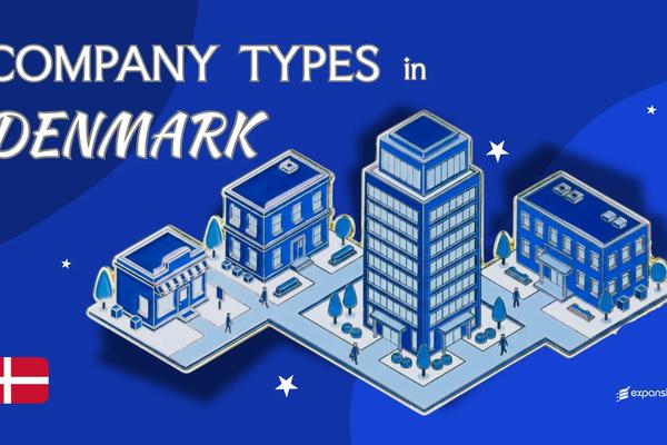 Company Types in Denmark | 9 Business Structures Explained