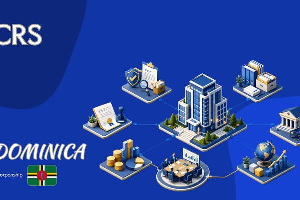 How CRS Reporting Works for Account Holders in Dominica