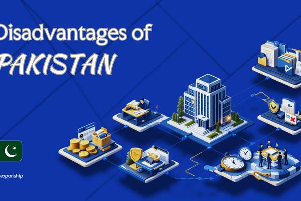 Cons of Incorporating in Pakistan | Key Drawbacks Explained