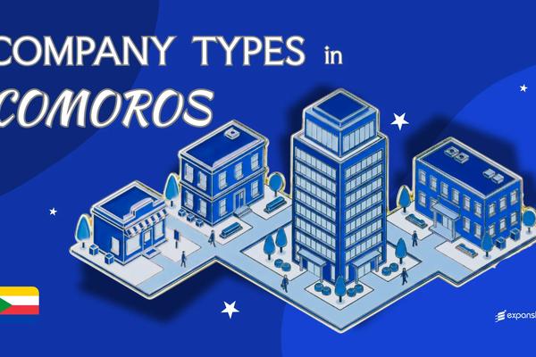 Types of Companies in Comoros | 7 Entity Structures Covered