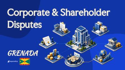 Grenada Corporate & Shareholder Disputes: Owner's View