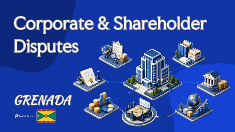 Grenada Corporate & Shareholder Disputes: Owner's View