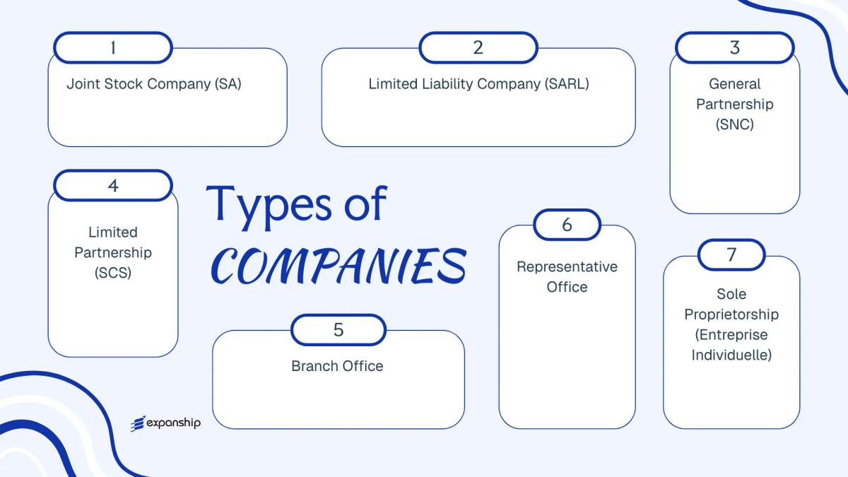 All types of business structures and entities available in Chad