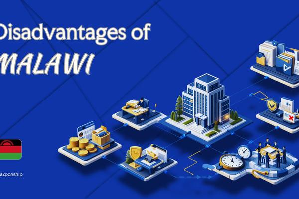Cons of Incorporating in Malawi | What Investors Should Know