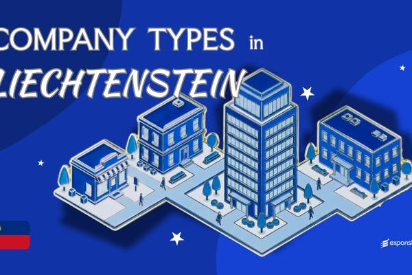 Types of Companies in Liechtenstein | Full Structure Guide