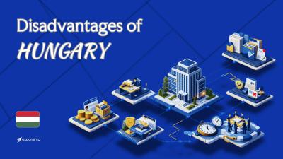 Cons of Incorporating in Hungary | 8 Drawbacks Explained