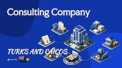 Turks and Caicos Consulting Company: A Guide for Owners