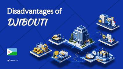 Cons of Incorporating in Djibouti | Key Drawbacks Explained