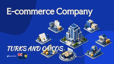 Turks and Caicos E-commerce Company: A Guide for Owners