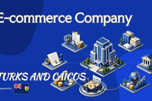 Turks and Caicos E-commerce Company: A Guide for Owners