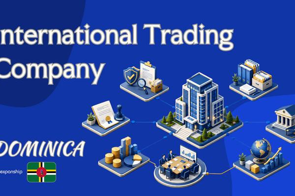 International Trading Company in Dominica Explained