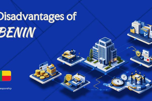 Cons of Incorporating in Benin | What Investors Should Know