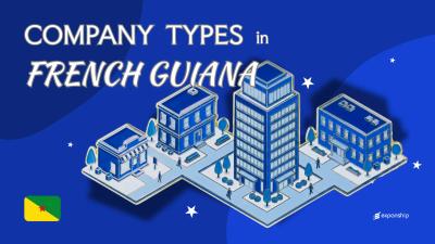 Types of Companies in French Guiana | 7 Entities Explained