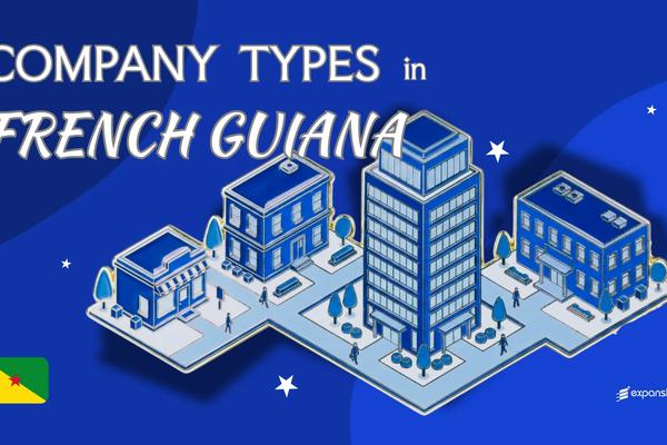 Types of Companies in French Guiana | 7 Entities Explained