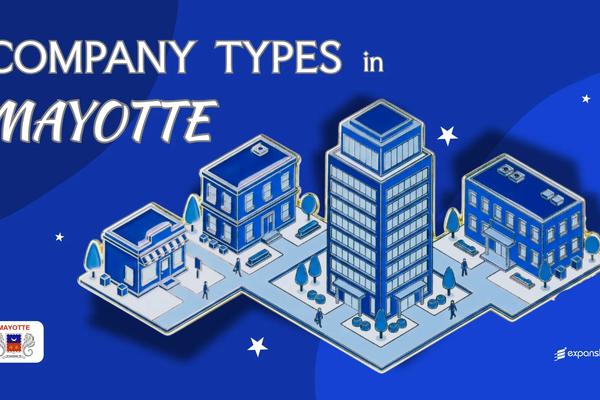 Types of Companies in Mayotte | 10 Entities Explained