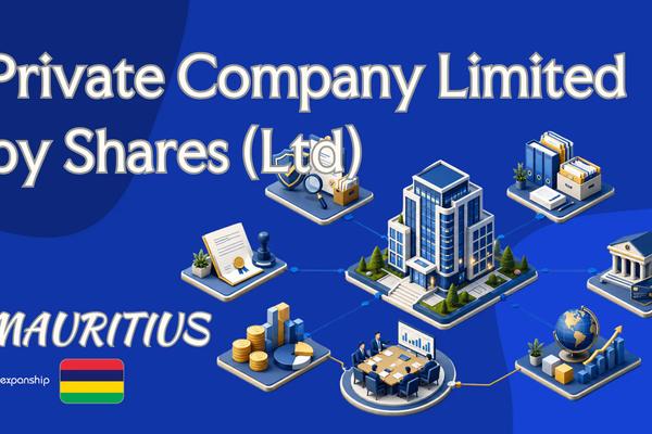 Mauritius Private Ltd: Shares, Directors, and Taxation