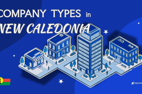 Company Types in New Caledonia | Full Entity Structure Guide