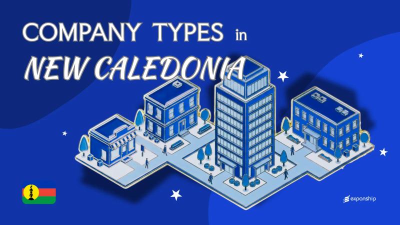 Company Types in New Caledonia | Full Entity Structure Guide