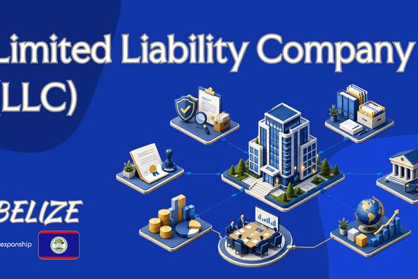 Limited Liability Company (LLC) in Belize Explained
