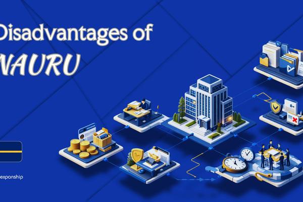 Cons of Incorporating in Nauru | What Investors Should Know