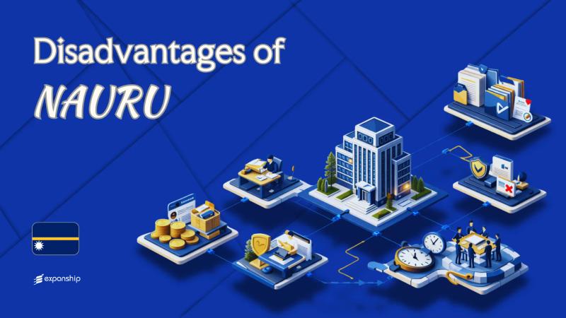 Cons of Incorporating in Nauru | What Investors Should Know