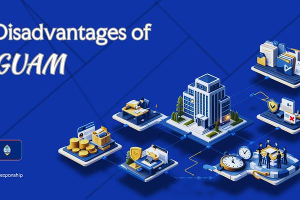 Cons of Incorporating in Guam | What Investors Should Know