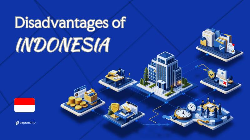 Cons of Incorporating in Indonesia | Key PT PMA Drawbacks