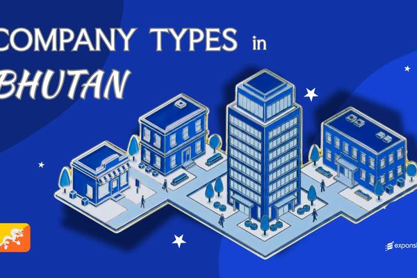 Types of Companies in Bhutan | 10 Entity Structures Compared