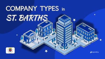 Company Types in Saint Barthélemy | All Entity Types Covered