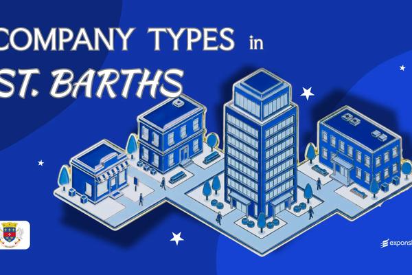 Company Types in Saint Barthélemy | All Entity Types Covered