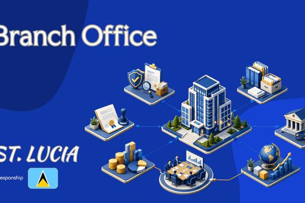 Branch Office in St. Lucia: Rules and Registration