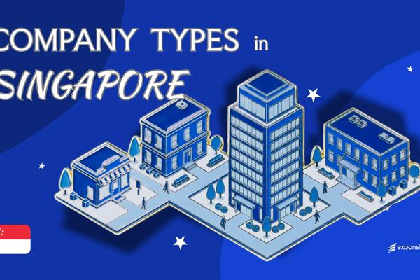 Company Types in Singapore | All Legal Structures Covered