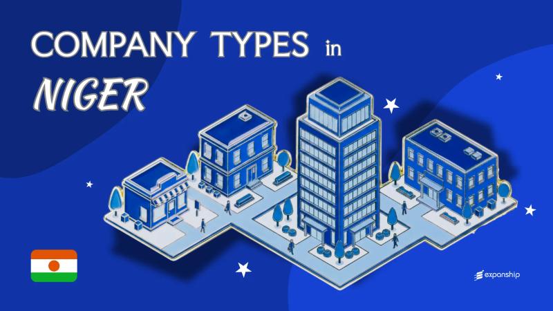 Types of Companies in Niger | Full Entity Overview