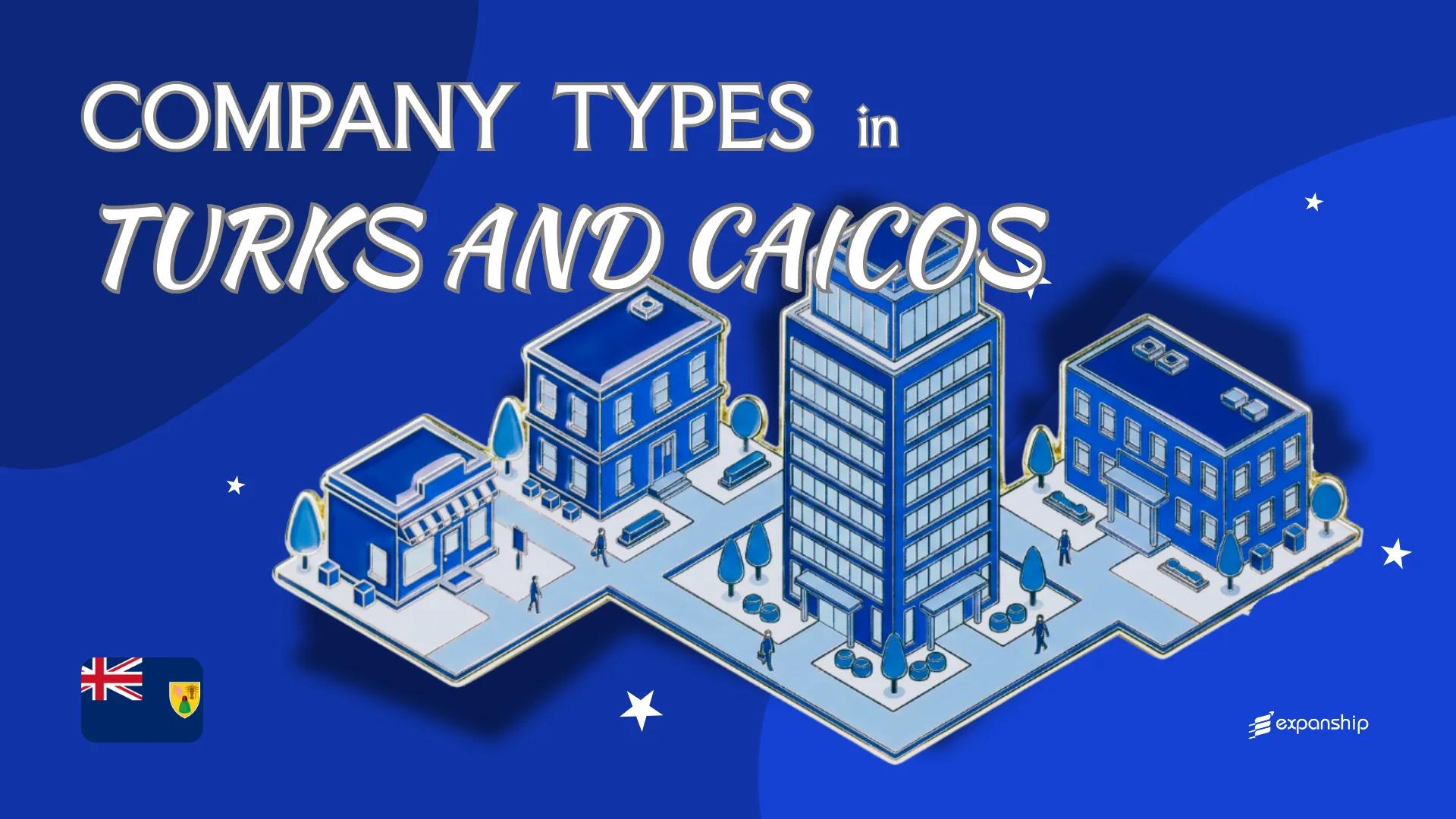 Types of Companies in Turks and Caicos | 2025 Overview