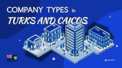 Types of Companies in Turks and Caicos | 2025 Overview