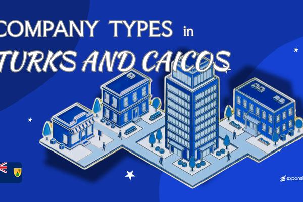 Types of Companies in Turks and Caicos | 2025 Overview