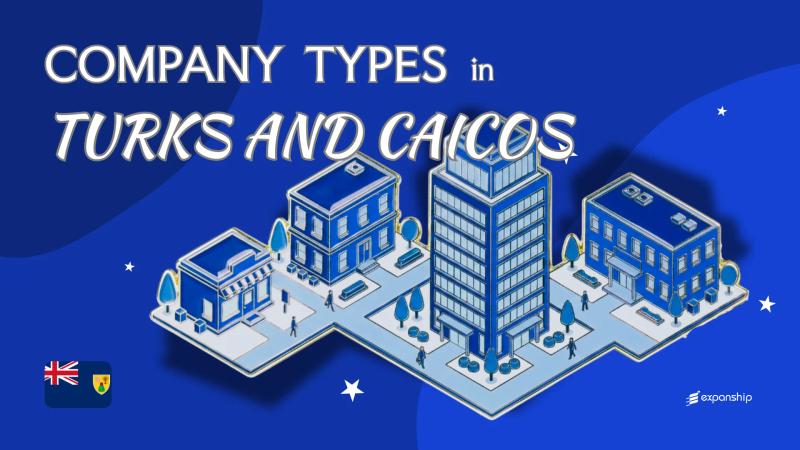 Types of Companies in Turks and Caicos | 2025 Overview