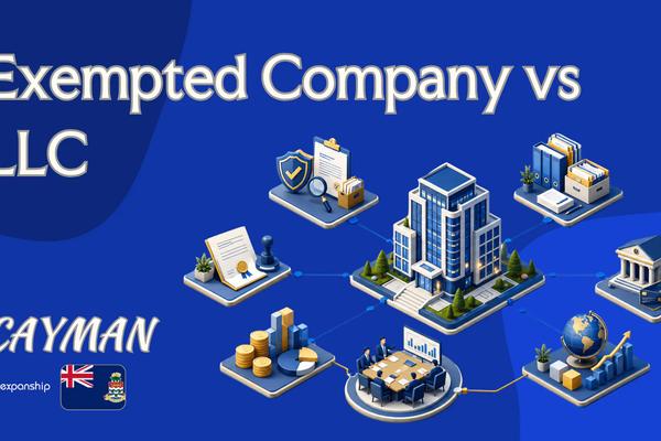 Exempted Company vs LLC in Cayman: A Clear Comparison