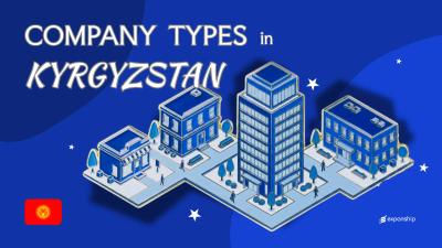 Company Types in Kyrgyzstan | All Entities Compared