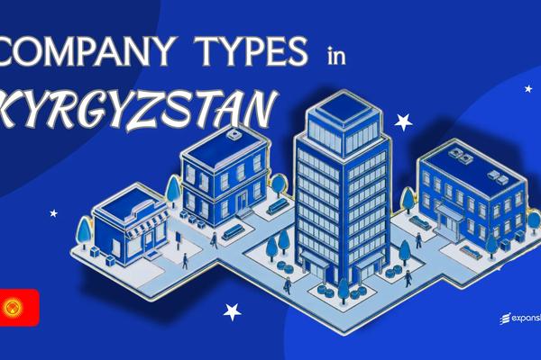 Company Types in Kyrgyzstan | All Entities Compared