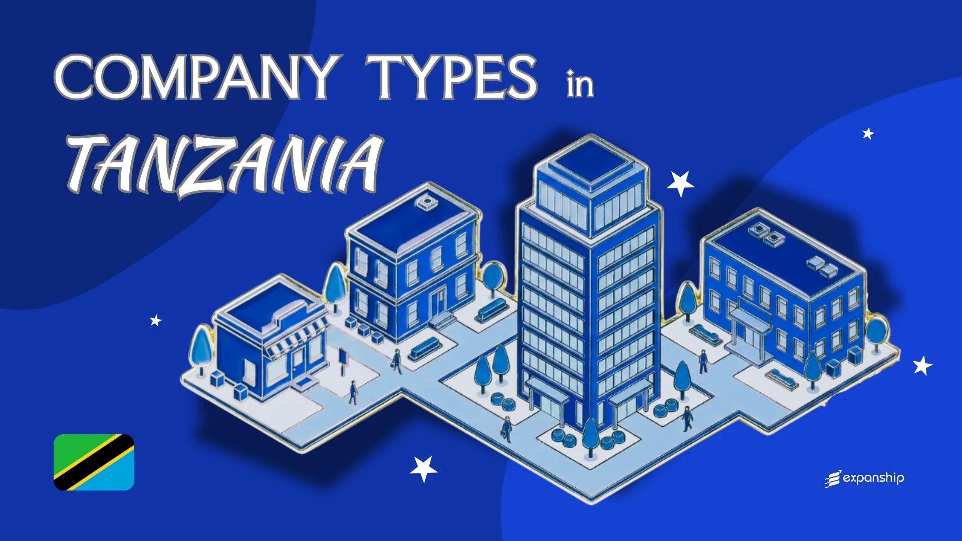 Types of Companies in Tanzania | 10 Entities Explained