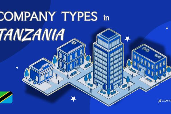 Types of Companies in Tanzania | 10 Entities Explained
