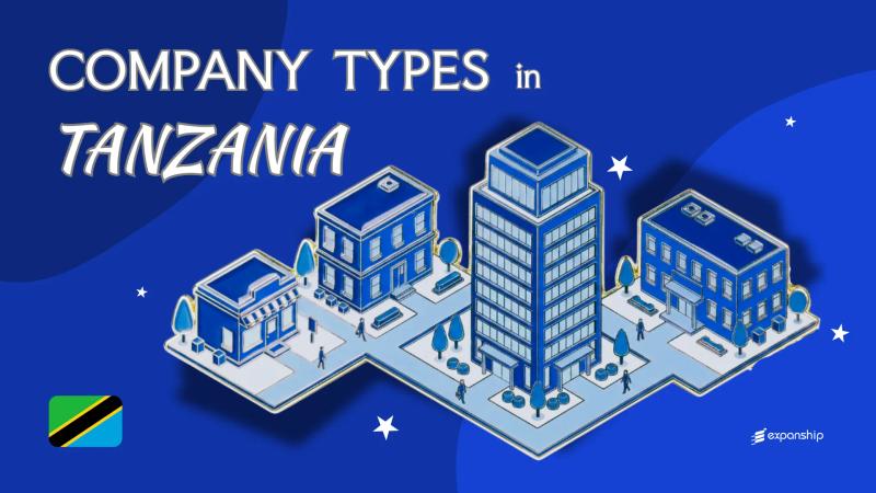 Types of Companies in Tanzania | 10 Entities Explained